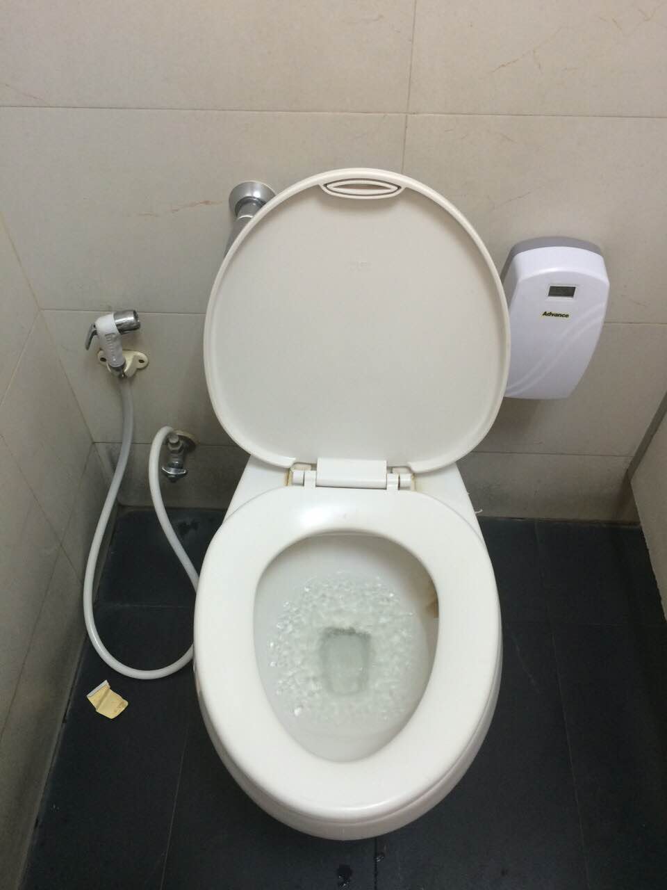 Toilet and a hose. No TP in sight. 