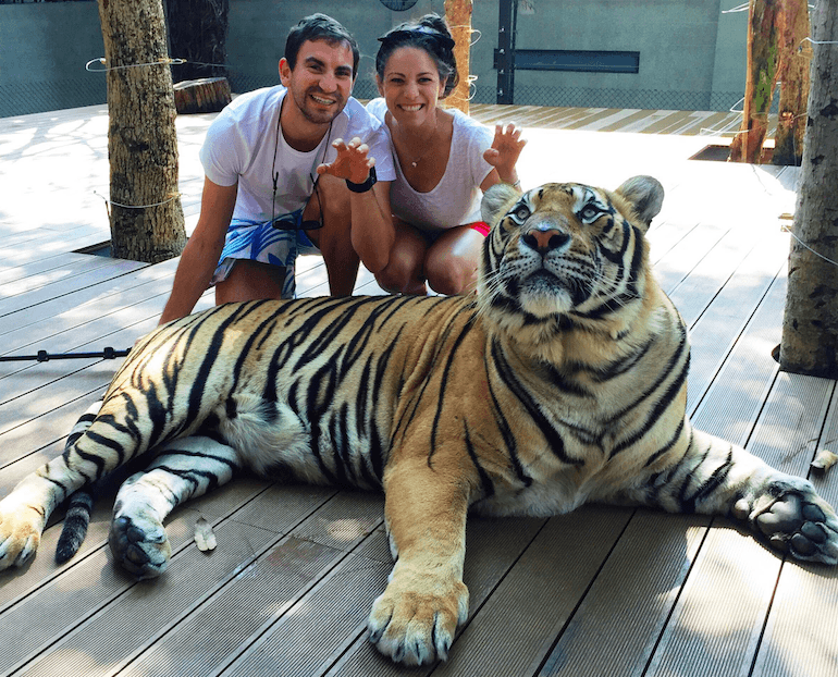 Daniel and lauren with a tiger