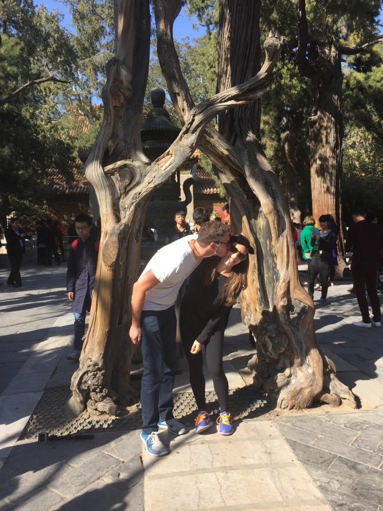 Forbidden City Love Trees