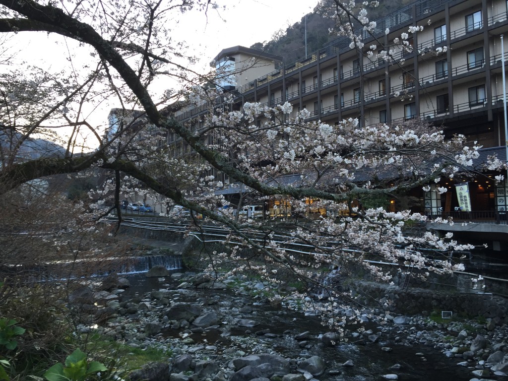 Hakone Tensien Hotel, a traditional onsen ryokan