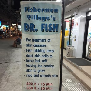 Dr Fish Foot Spa in Ko Samui